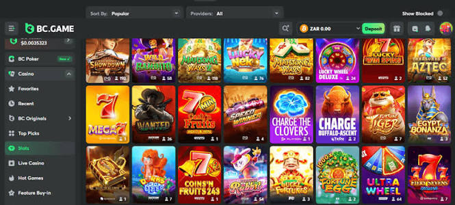 Exploring the Exciting Features of BC.Game App